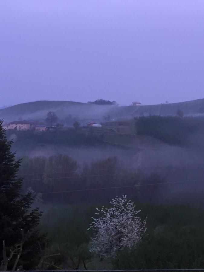 Cascina Baresane Bed & Breakfast อัลบา ภายนอก รูปภาพ